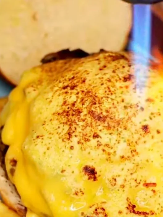 Valenciaplanea- TORO BURGER