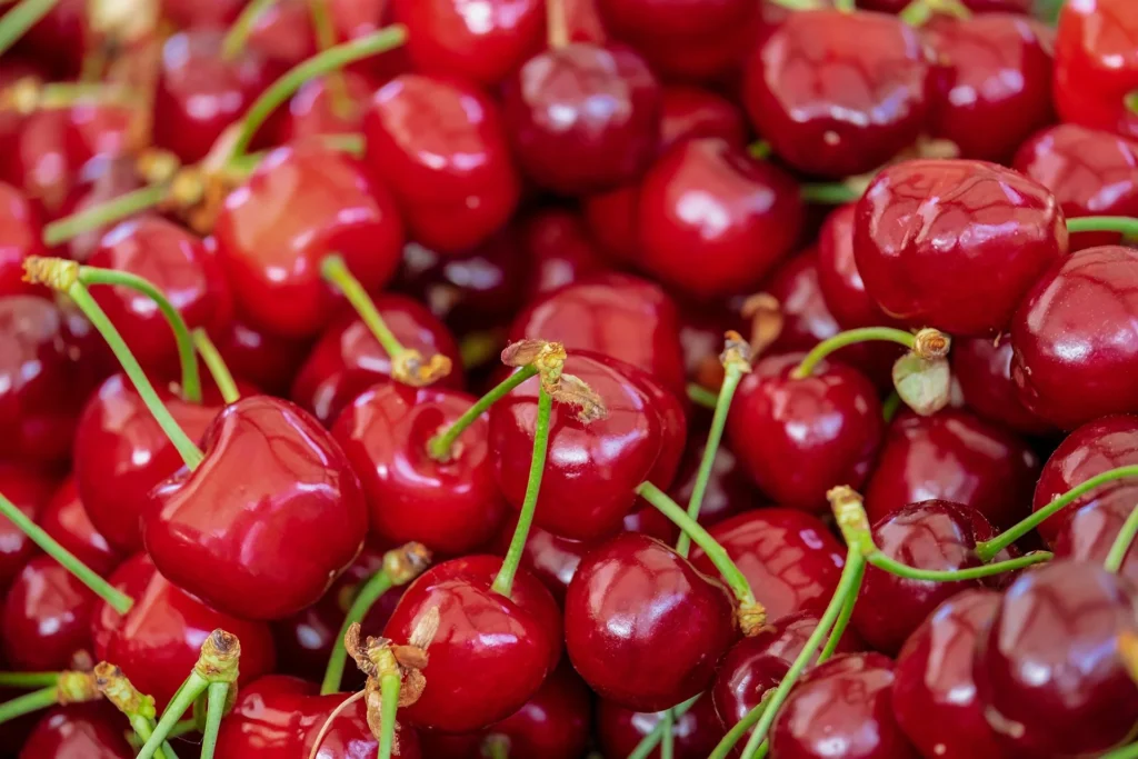 Cerezas Zarra